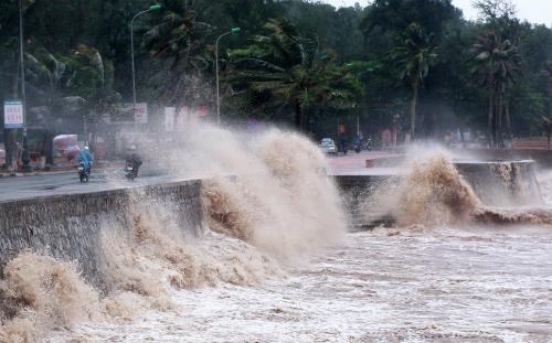 Cần chủ động trong việc dự báo, phòng chống bão (10/8/2016)